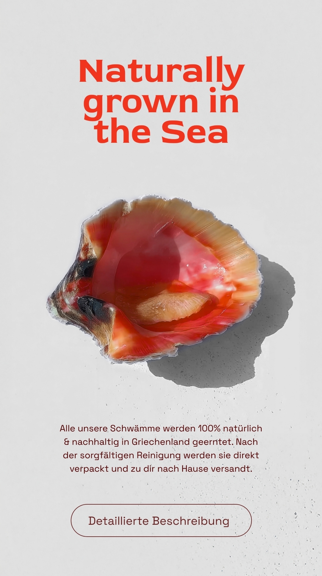 Hera Organics - Image 72