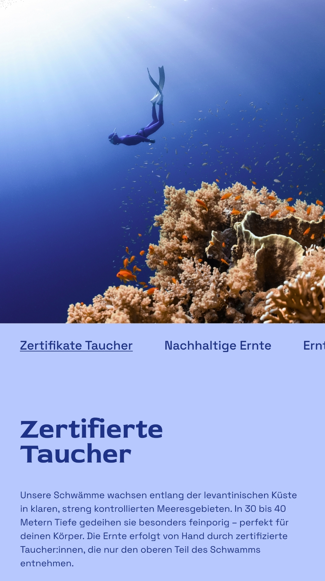 Hera Organics - Image 21