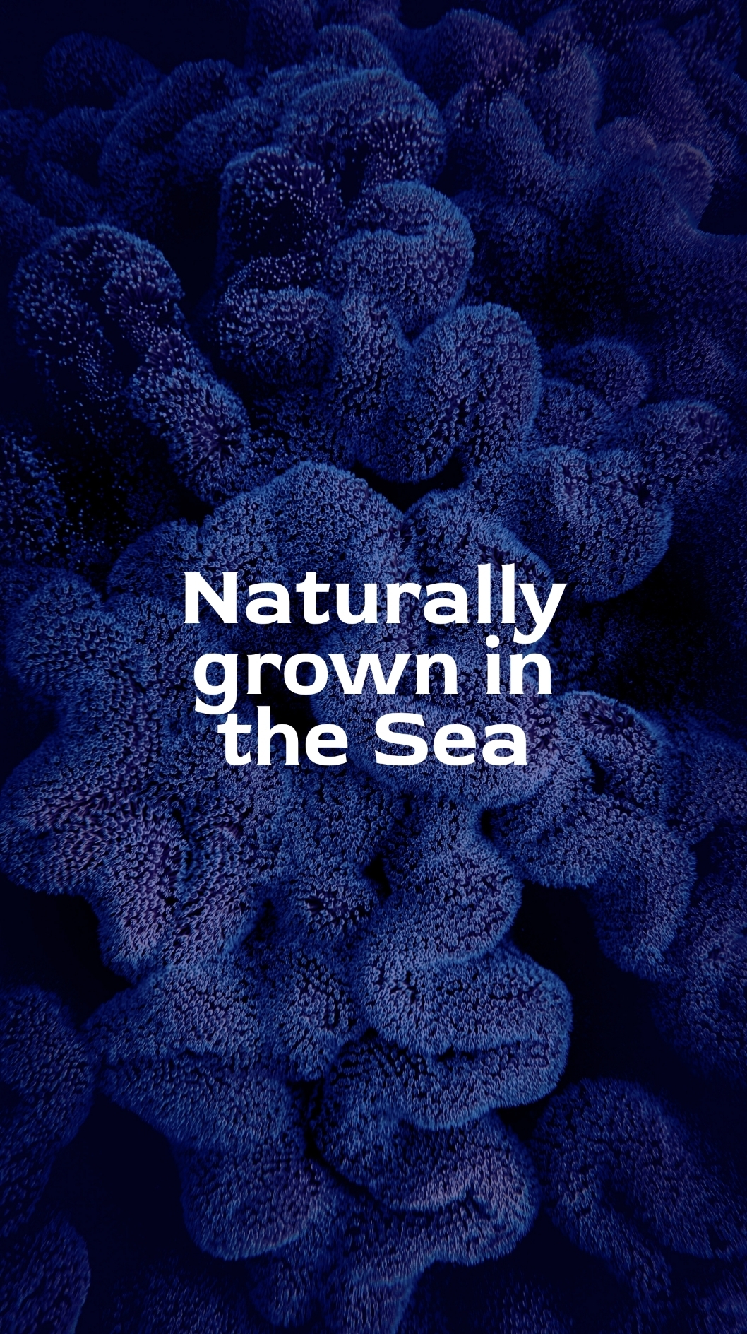 Hera Organics - Image 22