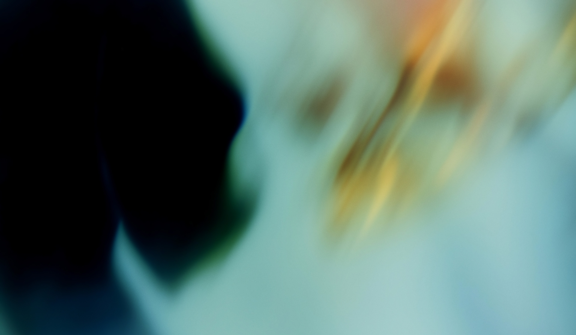 Abstract Metavoirsum background gradient