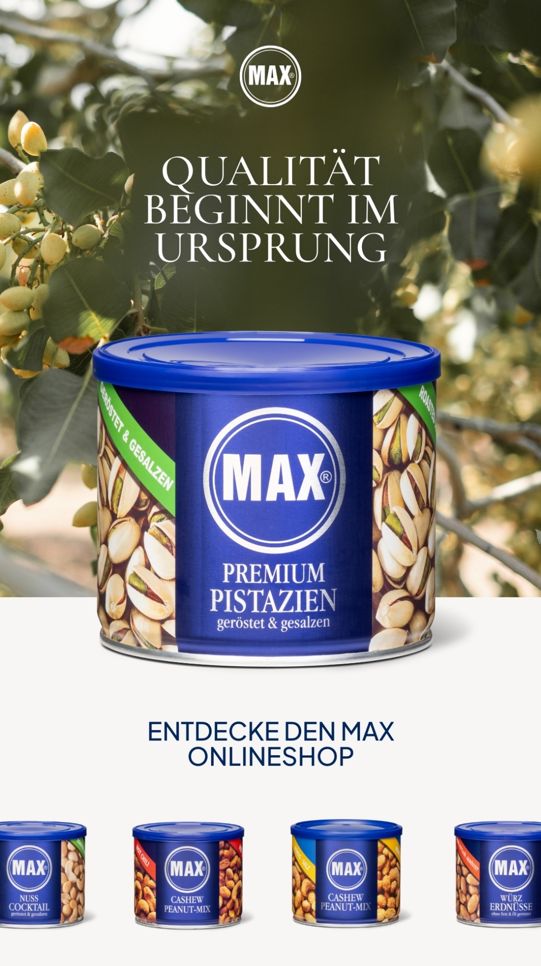 Max Kiene - Image 43