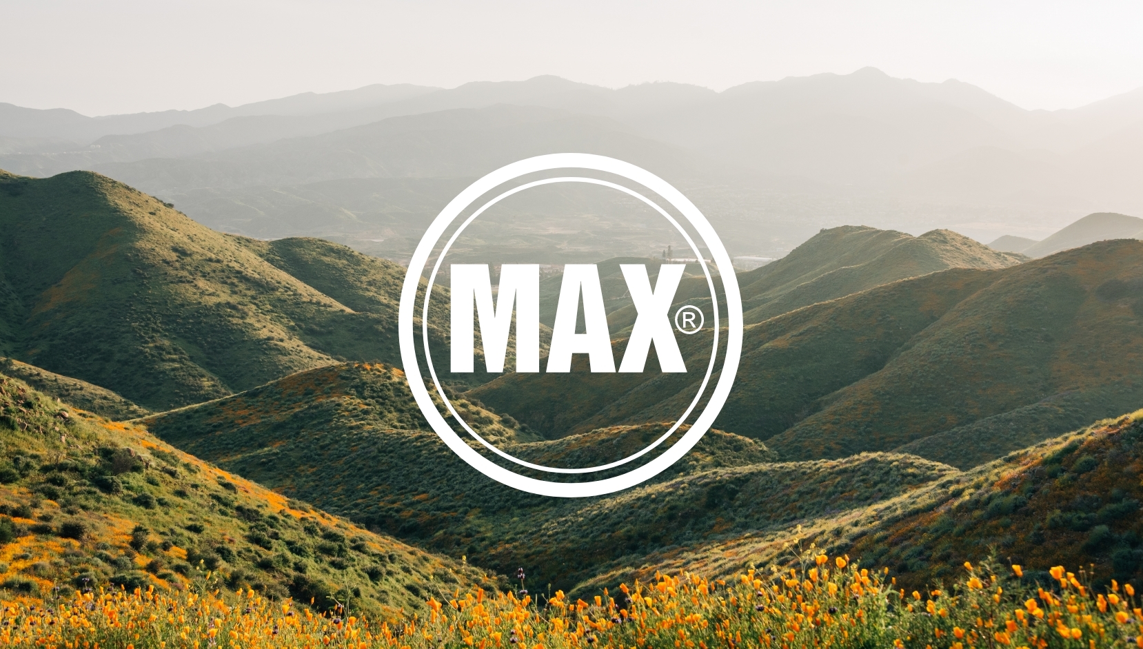 Max Kiene - Image 32