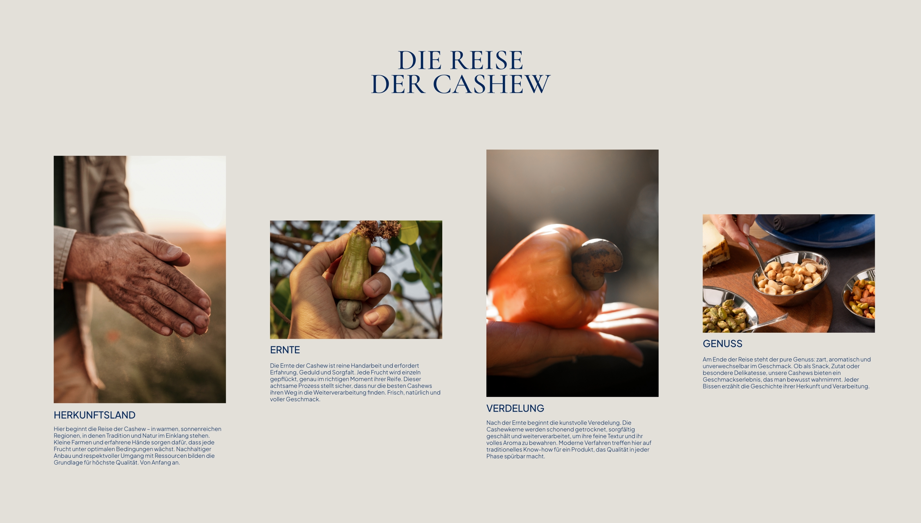 Max Kiene - Image 41